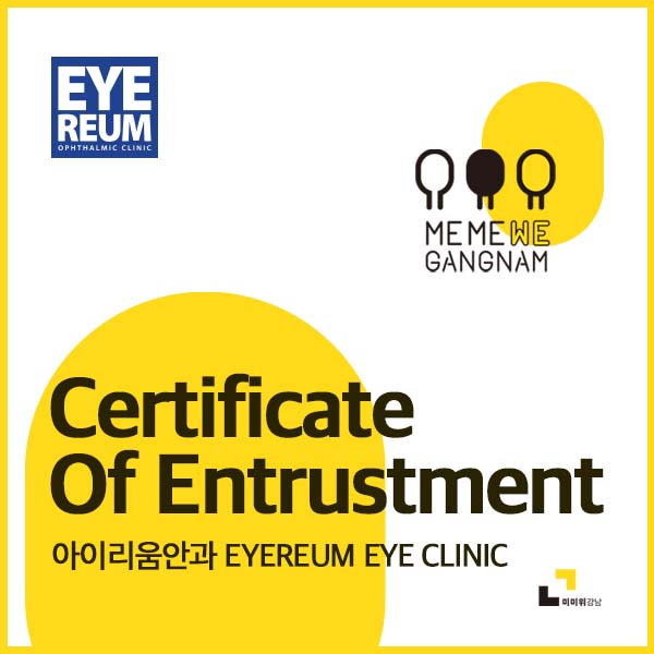 Gangnam Mediacal tourism Partner - EYEREUM EYE CLNIC