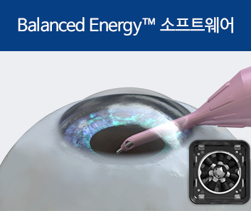 Balanced Energy™ 소프트웨어