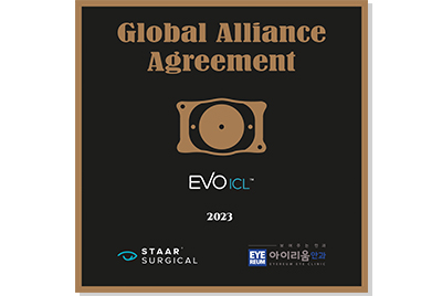 Global Alliance Agreement